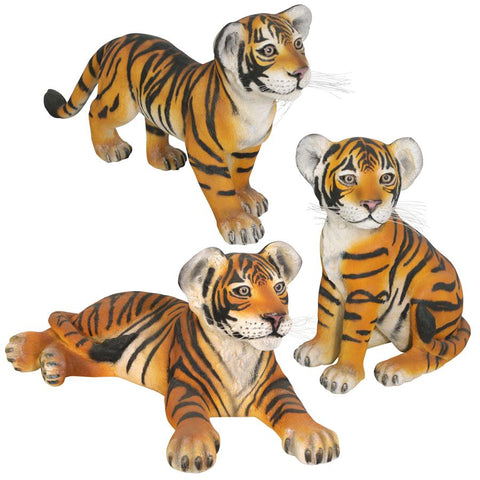 S/ Lying Sitting & Standing Tiger Cubs