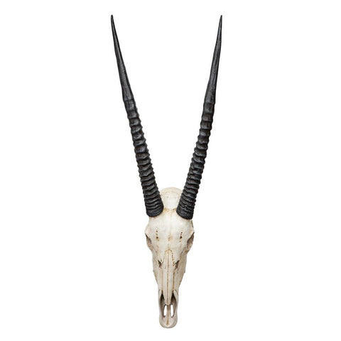 Gemsbok Wall Trophy