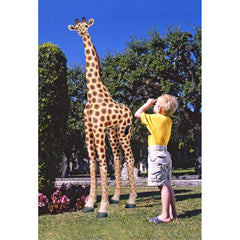 Mombasa The Garden Giraffe