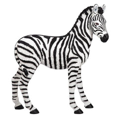 Zairen The Baby Zebra