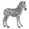 Image of Zairen The Baby Zebra