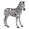 Image of Zairen The Baby Zebra
