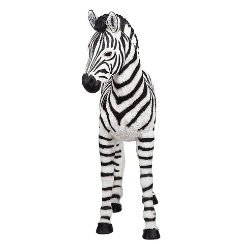 Zairen The Baby Zebra