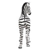 Image of Zairen The Baby Zebra