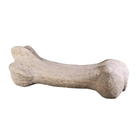 Gigantic Dinosaur Bone Statue