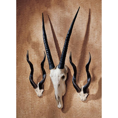 Set Of 2 Kudu & 1 Gemsbok Trophies