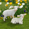 Image of S/2 Yorkshire Lambs