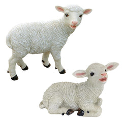 S/2 Yorkshire Lambs