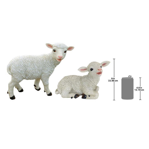 S/2 Yorkshire Lambs