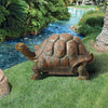 Image of The Cagey Tortoise Statue