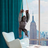 Image of Gorilla Hanging From Rope