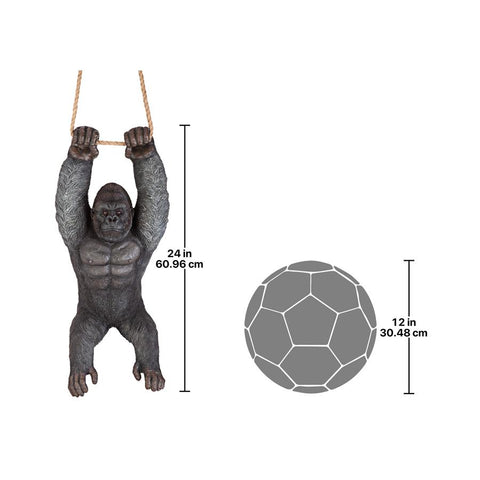 Gorilla Hanging From Rope