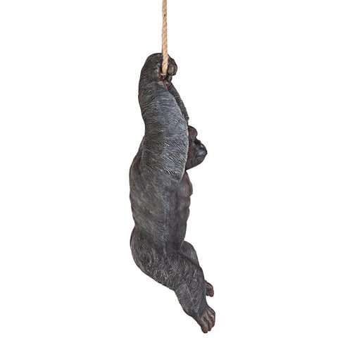 Gorilla Hanging From Rope