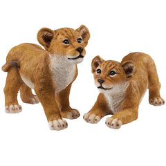 S/2 Lion Cubs Of The Sahara