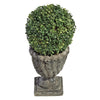 Image of 19.5In Boxwood Ball Topiary