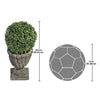 Image of 19.5In Boxwood Ball Topiary
