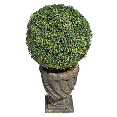 27In Boxwood Ball Topiary