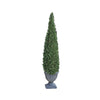 Image of 48In Cone Evergreen Topiary