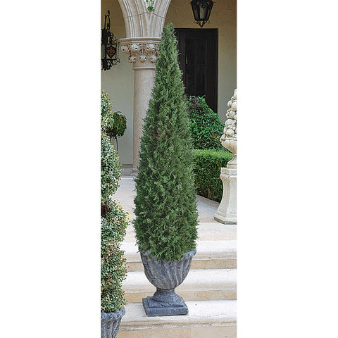 60In Cone Evergreen Topiary