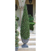 Image of 60In Cone Evergreen Topiary