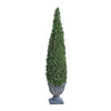 Image of 60In Cone Evergreen Topiary