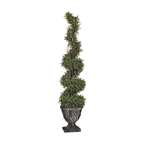 60In Spiral Boxwood Topiary