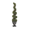 Image of 60In Spiral Boxwood Topiary