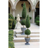 Image of 48In Classic Evergreen Topiary