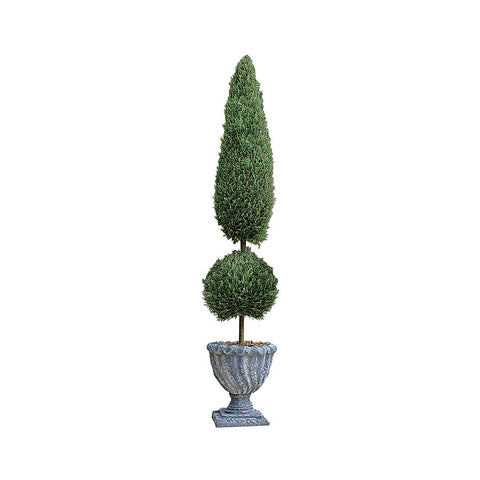 48In Classic Evergreen Topiary