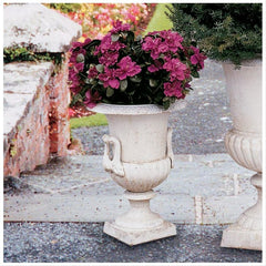 Medium Chateau Elaine Cast Iron Urn
