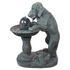 Dogs Refreshing Drink Fountain
