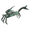 Image of Medium Bronze Crab