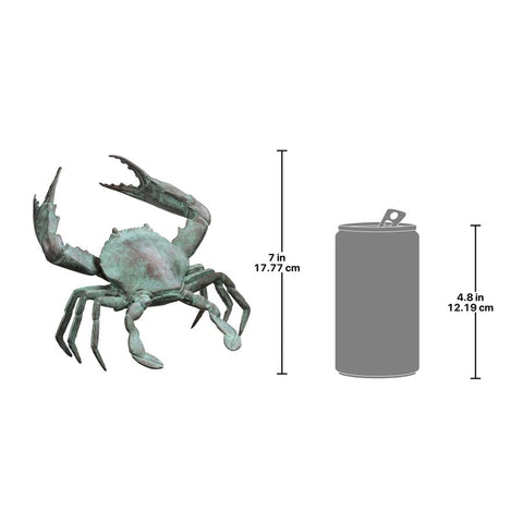 Medium Bronze Crab